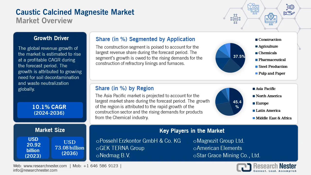 Caustic Calcined Magnesite share